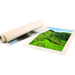 Canvas Roll2 300x300